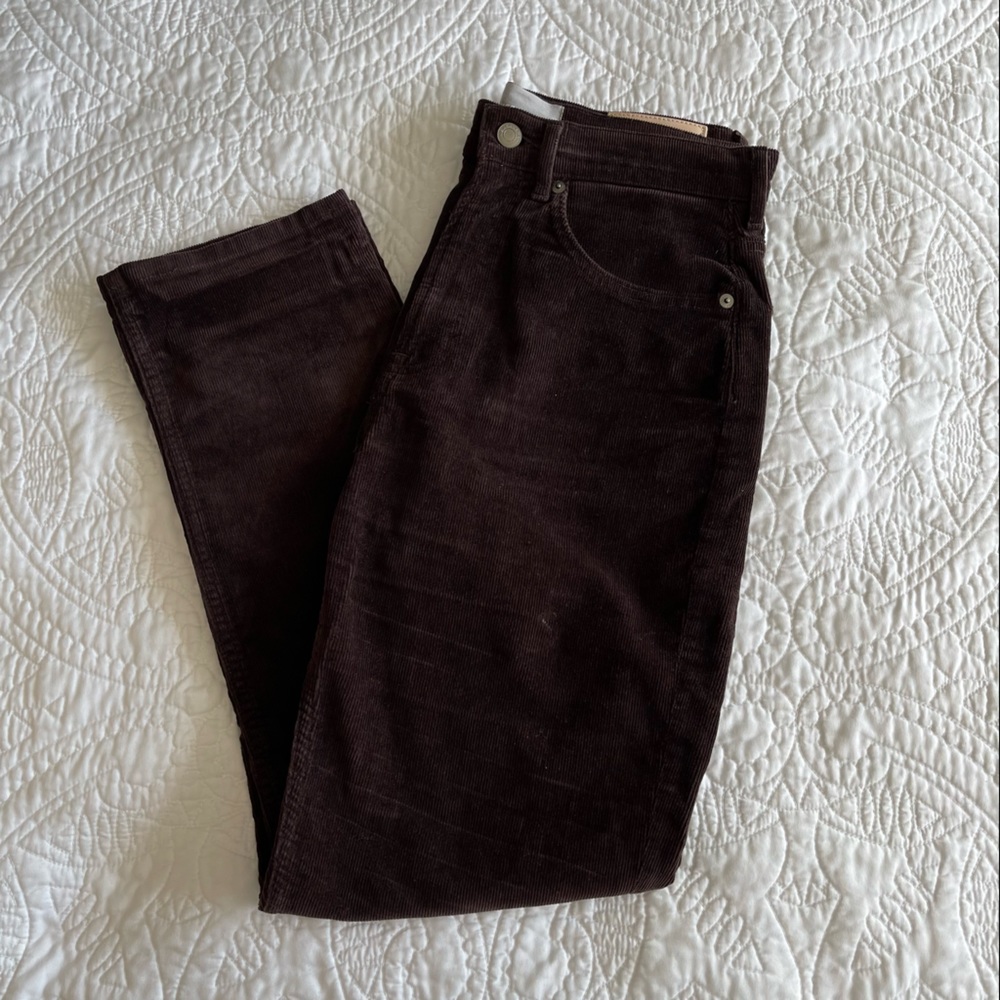 Everlane Brown Corduroy Pants